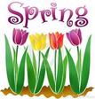 Happy Spring from Pumpkins Freebies Happy Spring from Pumpkins Freebies
